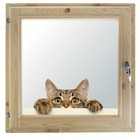 Окно, 50×60см, "Кошак", однокамерный стеклопакет - фото 298095357