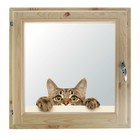Окно, 60×60см, "Кошак", однокамерный стеклопакет - фото 298095359