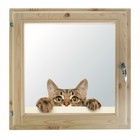 Окно 60х70 см, "Кошак", однокамерный стеклопакет, хвоя - фото 298095361
