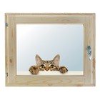 Окно, 40×60см, "Кошак", однокамерный стеклопакет, с уплотнителем - фото 298095367