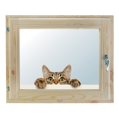 Окно, 40×60см, "Кошак", однокамерный стеклопакет, с уплотнителем