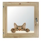 Окно 70х70 см, "Кошак", однокамерный стеклопакет, уплотнитель, хвоя - фото 298095375