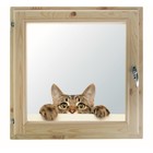 Окно 100х100 см, "Кошак", однокамерный стеклопакет, уплотнитель, хвоя - фото 298095379