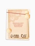 Браслет-оберег «Красная нить. Слон», на счастье, цвет чернёное серебро, L=20 см - Фото 4