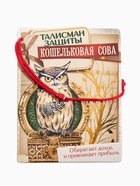 Браслет-оберег «Красная нить» кошельковая сова, цвет чернёное серебро, 20 см - Фото 4