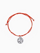 денежное дерево