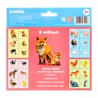 Пазлы парные «Мамы и малыши», 12 пазлов, 24 детали - Фото 5