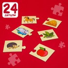 Парные пазлы «Кто что ест?», 12 пазлов, 24 детали - Фото 5