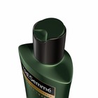 Шампунь для волос-детокс Tresemme Botanique Detox, с экстрактами кокоса и алоэ вера, 400 мл - Фото 3