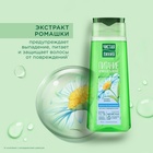 Шампунь для сухих и поврежденных волос Чистая линия с экстрактом ромашки, 250 мл - Фото 2