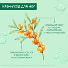 Крем-уход для ног Чистая линия «Интенсивное питание», 75 мл - Фото 6