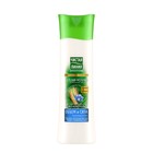 Бальзам-молочко для волос Чистая линия «Объём и сила», пшеница и лён, 380 мл - Фото 3