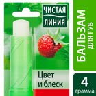 Бальзам для губ Естественный цвет и блеск «Земляника», 4 г - Фото 5