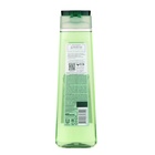 Шампунь для волос Чистая линия «Против выпадения», конский каштан, 400 мл - Фото 2