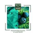 Шампунь для волос Чистая линия For Men 3 в 1 «Энергия и чистота», комплексный уход, 400 мл - Фото 2