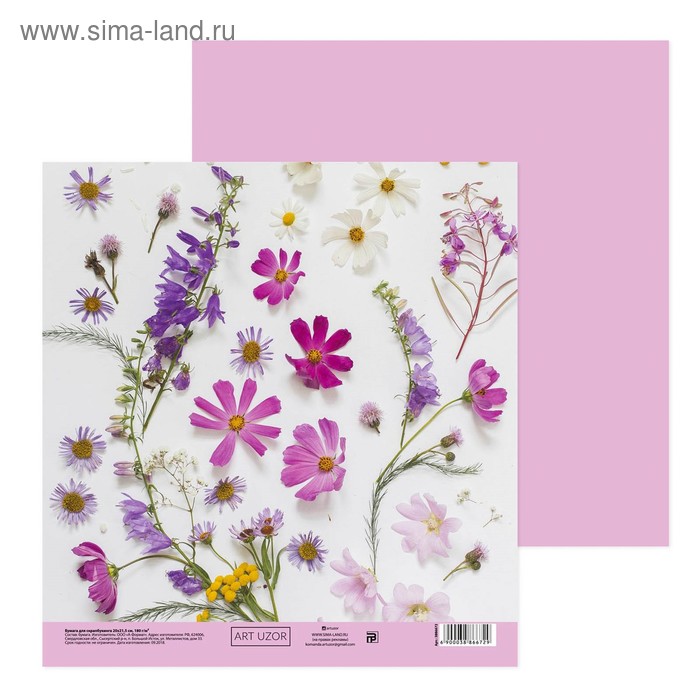 Бумага для скрапбукинга «Полевые цветы», 20 × 21.5 см, 180 г/м - Фото 1