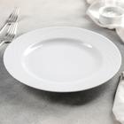 Тарелка мелкая «Голубка», d=24 см - Фото 2