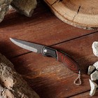Нож складной "Воитель" 15см, клинок 62мм/1,2мм, с цепочкой - фото 11880607
