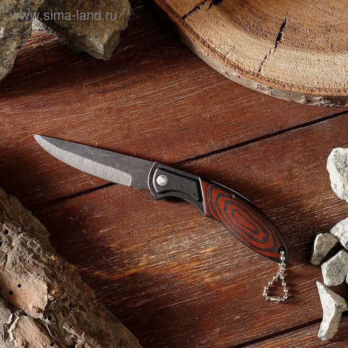 Нож складной "Воитель" 15см, клинок 62мм/1,2мм, с цепочкой - Фото 1