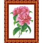 Канва с нанесённым рисунком для вышивки крестиком «Камелия», размер 23x30 см - фото 110271905