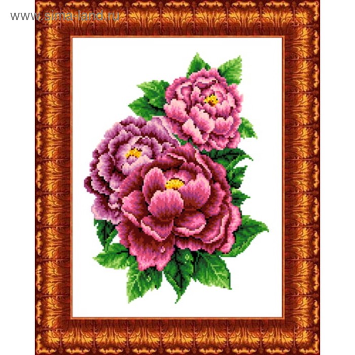 Канва с нанесённым рисунком для вышивки крестиком «Розовые пионы», размер 23x30 см - Фото 1