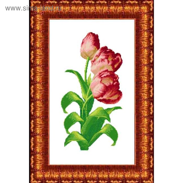 Канва с нанесённым рисунком для вышивки крестиком «Тюльпаны», размер 33x53 см - Фото 1