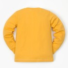 Пижама детская (брюки и джемпер) «Медвежонок», размер 30 (98-104 см) 3-4 г, 95% хлопок, 5% эластан - Фото 7