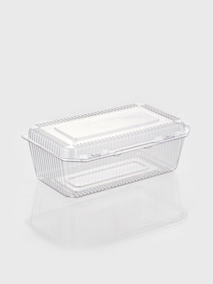 Контейнер одноразовый с неразъёмной крышкой ПР-К-29, пластик, 500 мл, 24.8×15.2×9.2 см, прозрачный - Фото 1