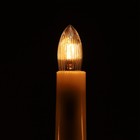Лампа накаливания для рождественской горки, 3 Вт, цоколь Е10, теплый белый, 2 шт - Фото 3