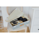 Органайзер для хранения белья с крышкой «Франческа»,49,5×31×12 см, 15 отделений, цвет серо-голубой - Фото 2