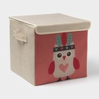 Короб стеллажный для хранения с крышкой «Совушка-индеец», 29×29×28.5 см - Фото 1