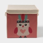 Короб стеллажный для хранения с крышкой «Совушка-индеец», 29×29×28.5 см - Фото 2