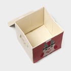 Короб стеллажный для хранения с крышкой «Совушка-индеец», 29×29×28.5 см - Фото 4