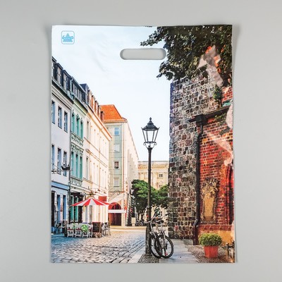 Пакет «Улица», полиэтиленовый с вырубной ручкой, 60 мкм, 31×40 см