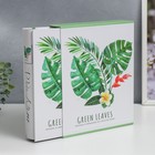 Фотоальбом на 200 фото 10х15 см "Пальмовые листья" в коробке 26х20,5х5 см - фото 24520962