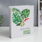 Фотоальбом на 200 фото 10х15 см "Пальмовые листья" в коробке 26х20,5х5 см - фото 24520964