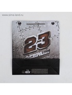 Пакет подарочный ламинированный, упаковка, «С 23 февраля», M 26 х 30 х 9 см 3639753