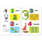 Книги картонные развивающие, набор 4 шт., по 10 стр. - Фото 5