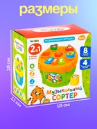 Развивающая игрушка «Музыкальный сортер», звук, цвет МИКС - Фото 5