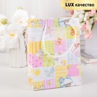 Пакет крафт "Детский", люкс, 21,5 х 16 х 7 см - Фото 1