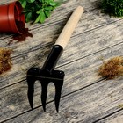Грабли прямые, 3 зубца, длина 40 см, деревянная ручка - Фото 1