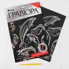 Гравюра «Дельфины» с металлическим эффектом «серебро» А4 - фото 24546887