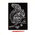 Гравюра «Белка» с металлическим эффектом «золото» А4 (комплект 2 шт) - фото 22665432