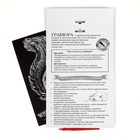 Гравюра «Белка» с металлическим эффектом «золото» А4 (комплект 2 шт) - фото 24546890