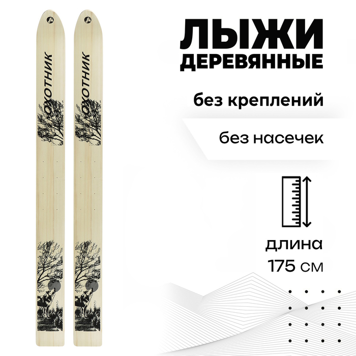 Лыжи деревянные охотничьи, 175 см, цвета МИКС - Фото 1