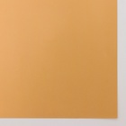 Плёнка матовая двухсторонняя "Эссенс",золотой, 57 х 57 см - Фото 4