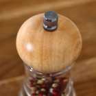 Набор мельниц для соли и перца Magistro, 2 шт., 10×5×10 см, прозрачный - Фото 4