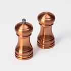 Набор мельниц для соли и перца Доляна, 2 шт., 10×5×10 см, цвет бронзовый - Фото 2