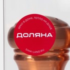 Набор мельниц для соли и перца Доляна, 2 шт., 10×5×10 см, цвет бронзовый - Фото 12