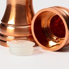 Набор мельниц для соли и перца Доляна, 10×5×10 см, 2 шт, цвет бронзовый - фото 4645201
